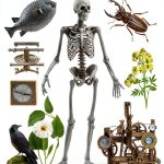 Dover Publications Clip Art Book Graphic Design Illustration-0