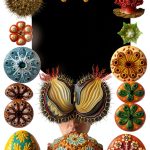 Graphic Design Clip Art Dover Revised eBook-0